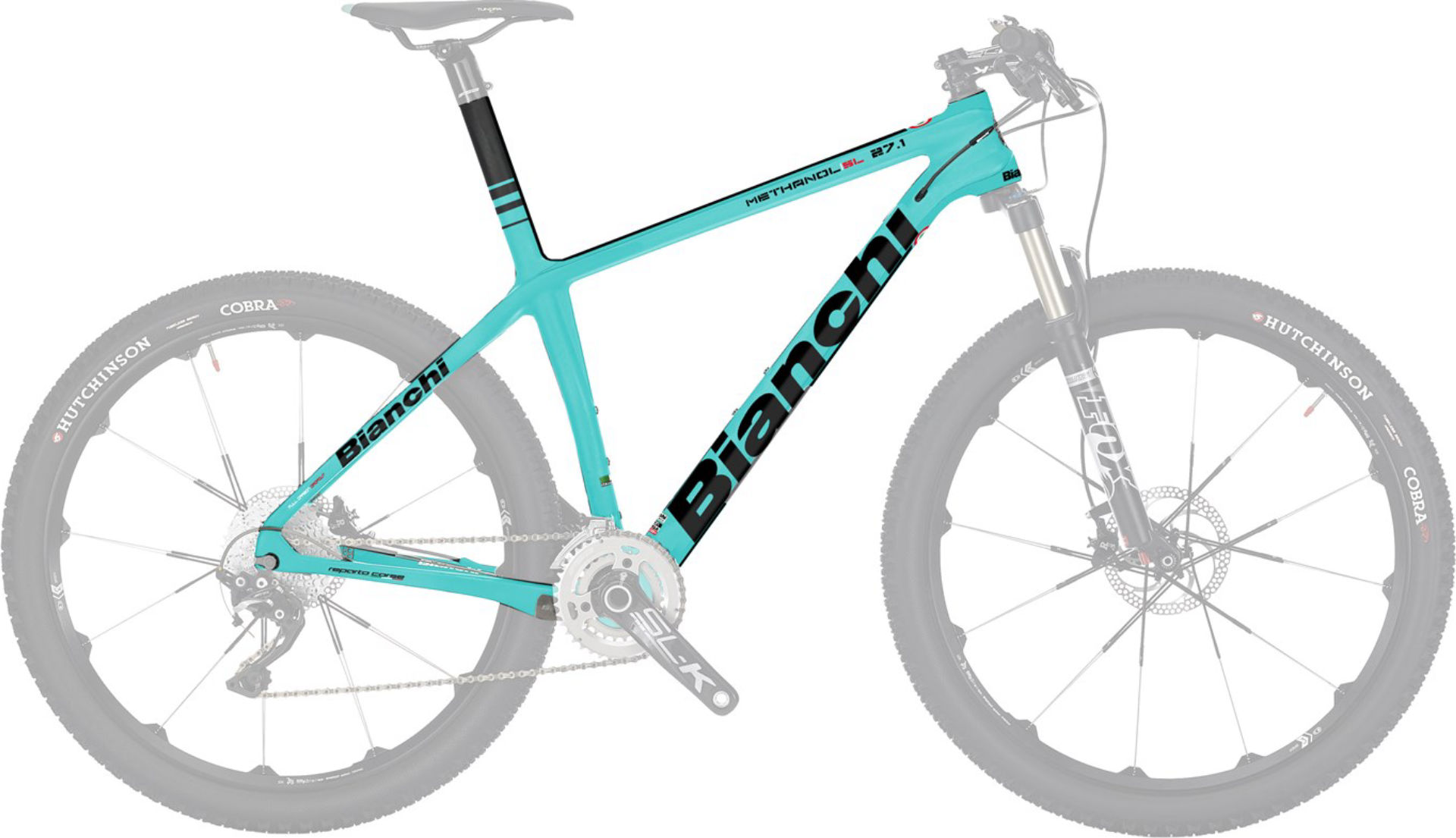 bianchi sx methanol