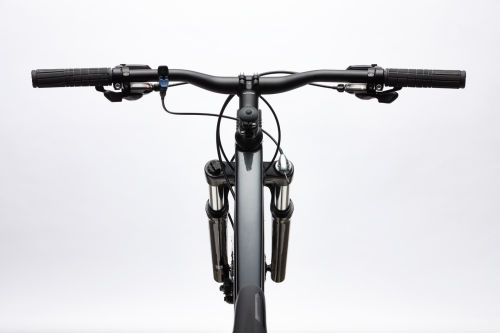 Cannondale 5 2020 Trail (all-mountain) bike