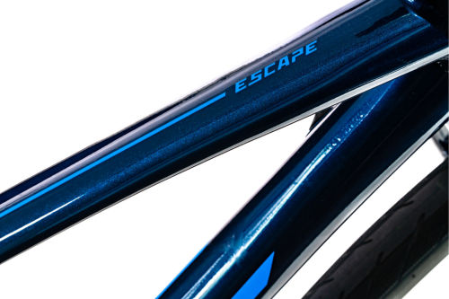 giant escape disc 2 2020