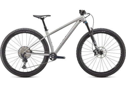 Specialized Expert 29 2020 Trail (all-mountain) bike