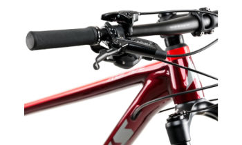 Vitus Rapide VR Bike SX Eagle 1x12